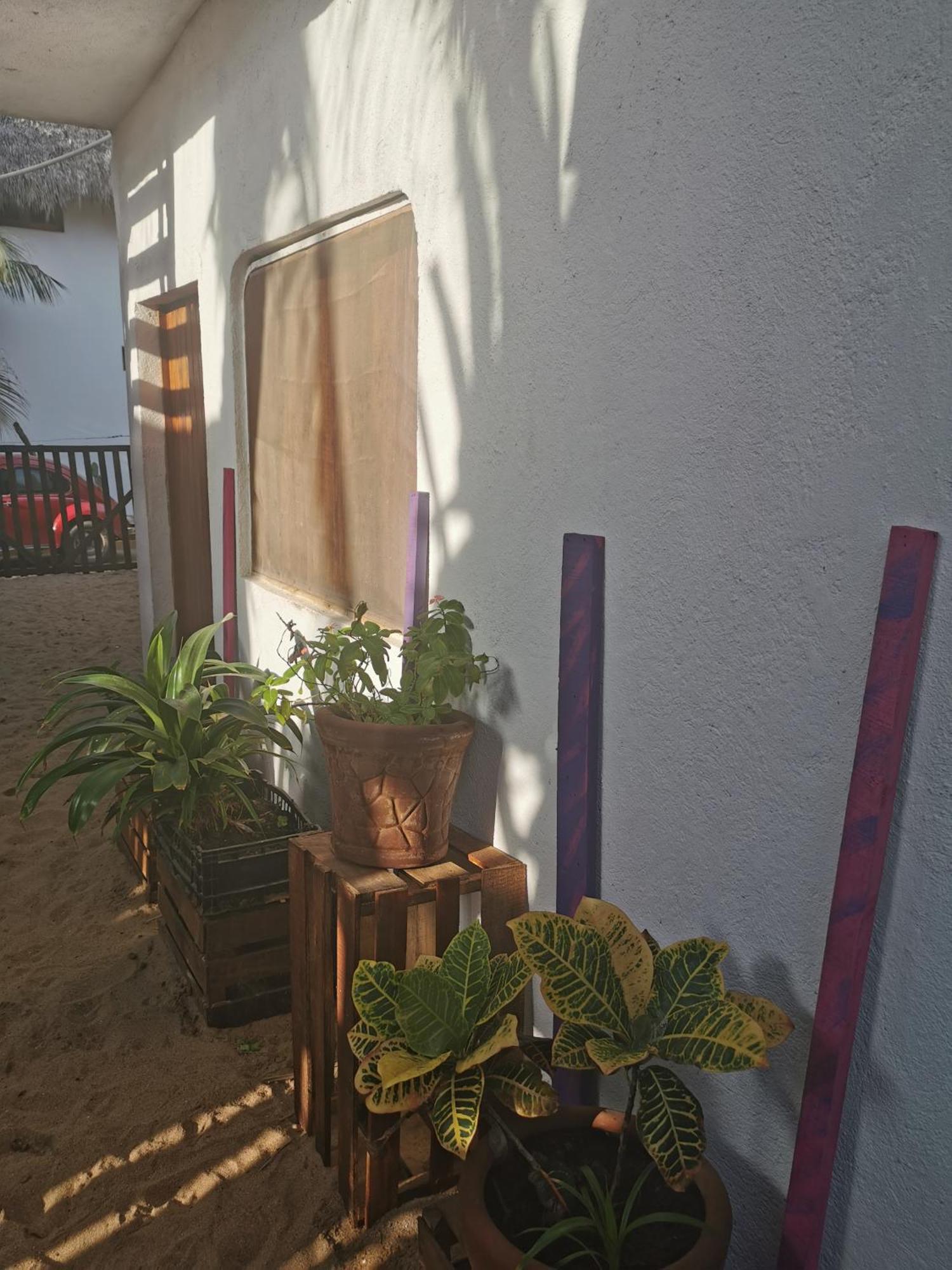 La máxima& LGBT Hotel Zipolite Quarto foto