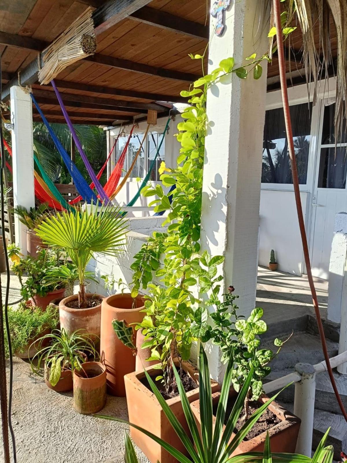 La máxima& LGBT Hotel Zipolite Exterior foto