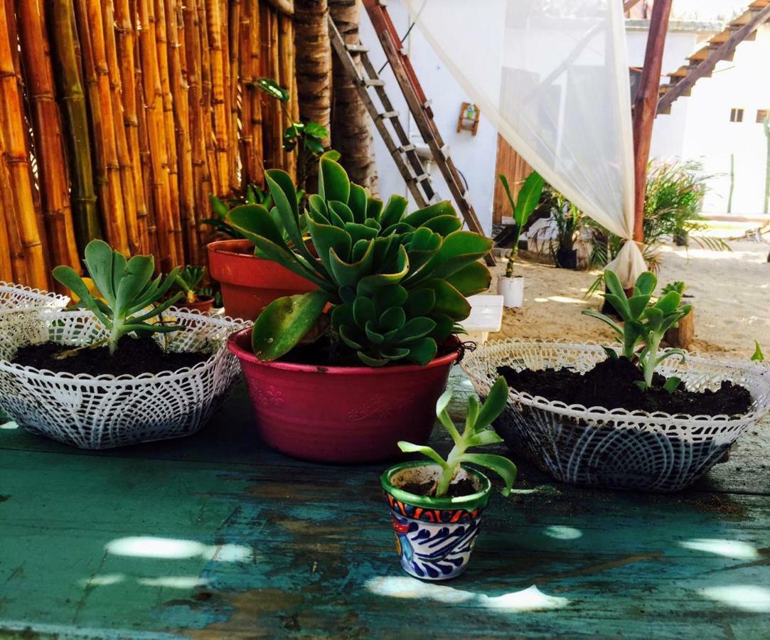 La máxima& LGBT Hotel Zipolite Exterior foto